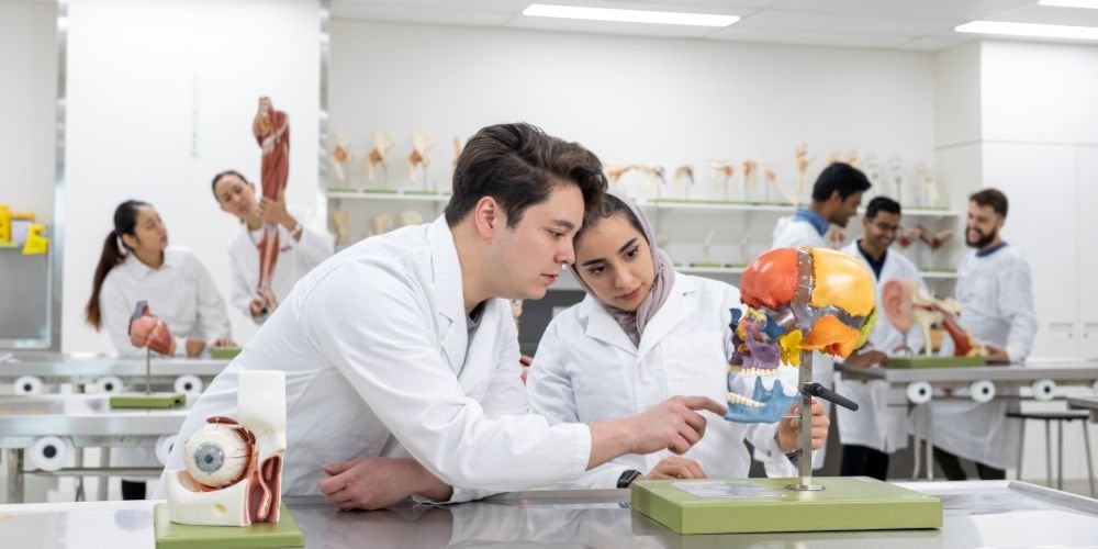 Top Universities in South Korea for International Students